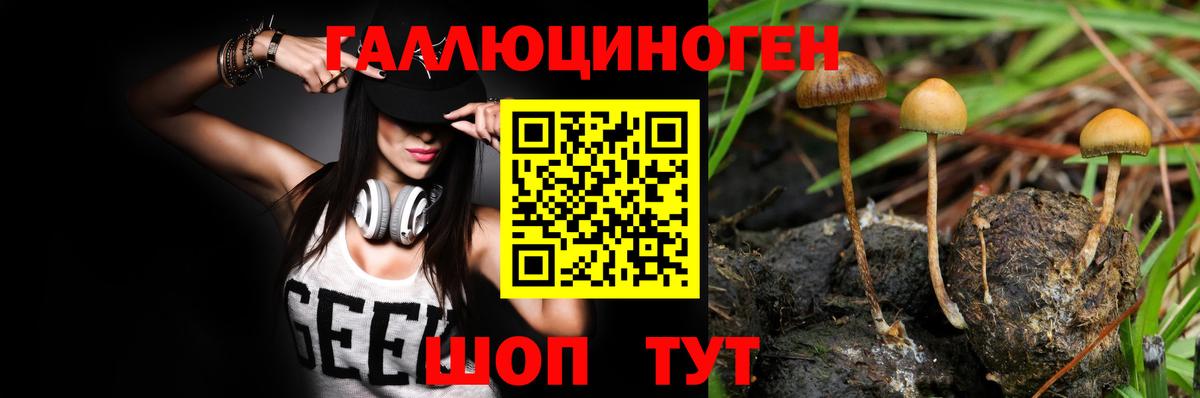 Псилоцибиновые грибы мухоморы Верхний Уфалей